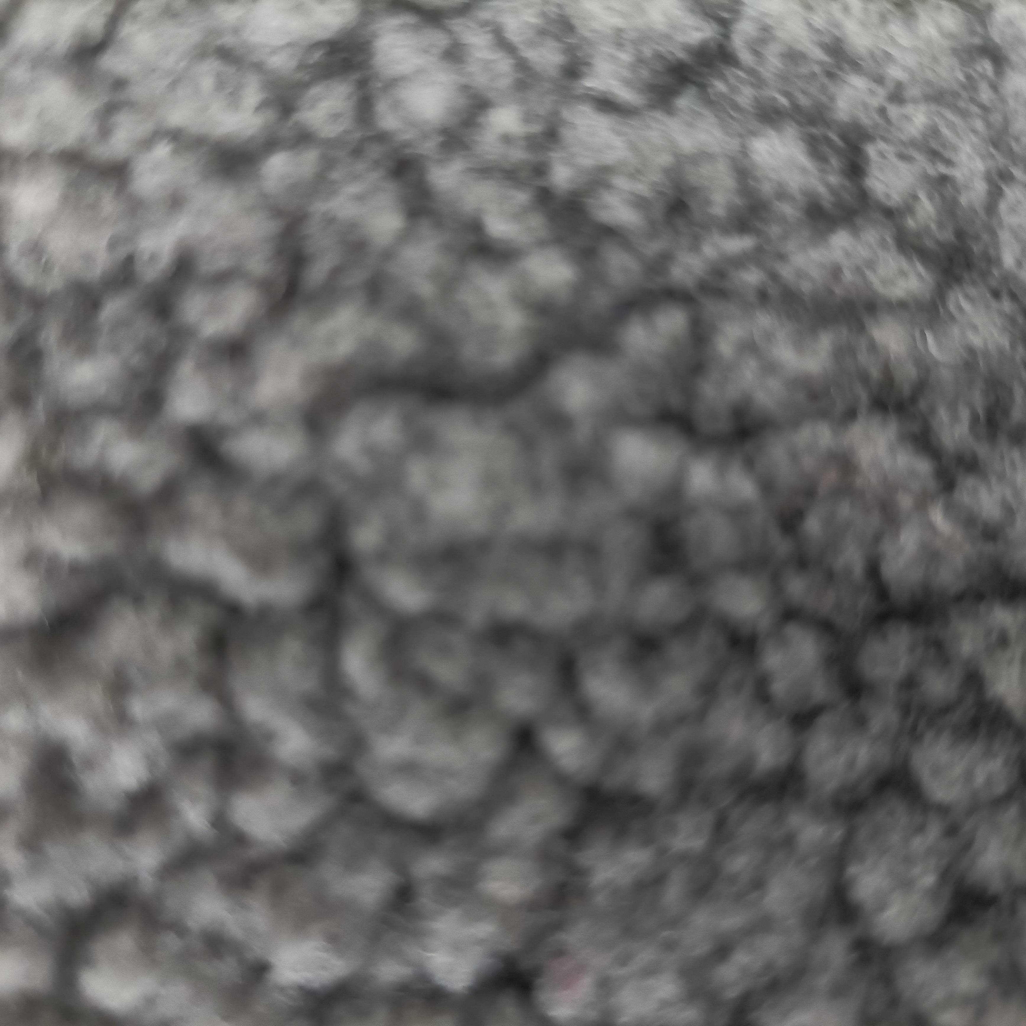 Charcoal Black Polyester Sherpa Fleece Fabric